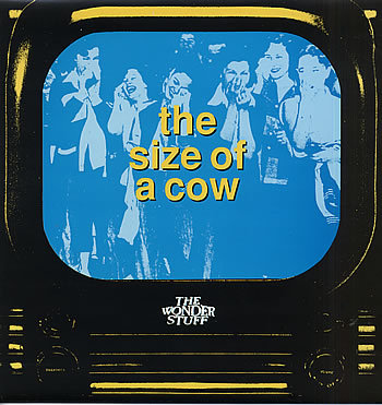 The Size Of A Cow